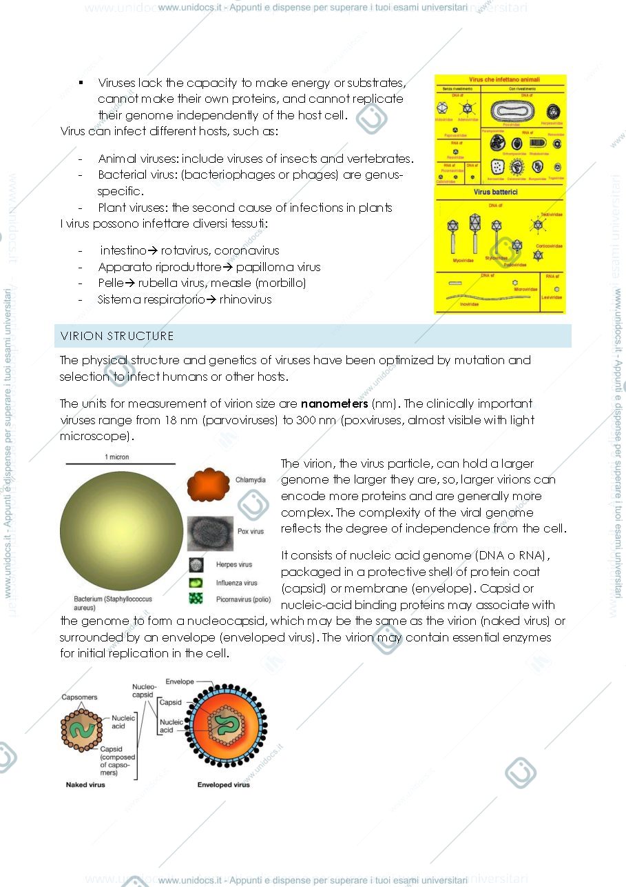 Anteprima pagina 2 — Virology
