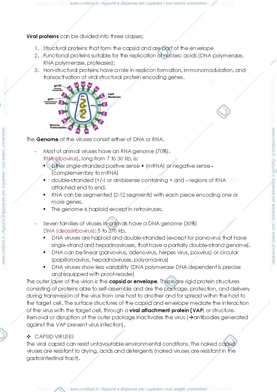Anteprima pagina 3 — Virology