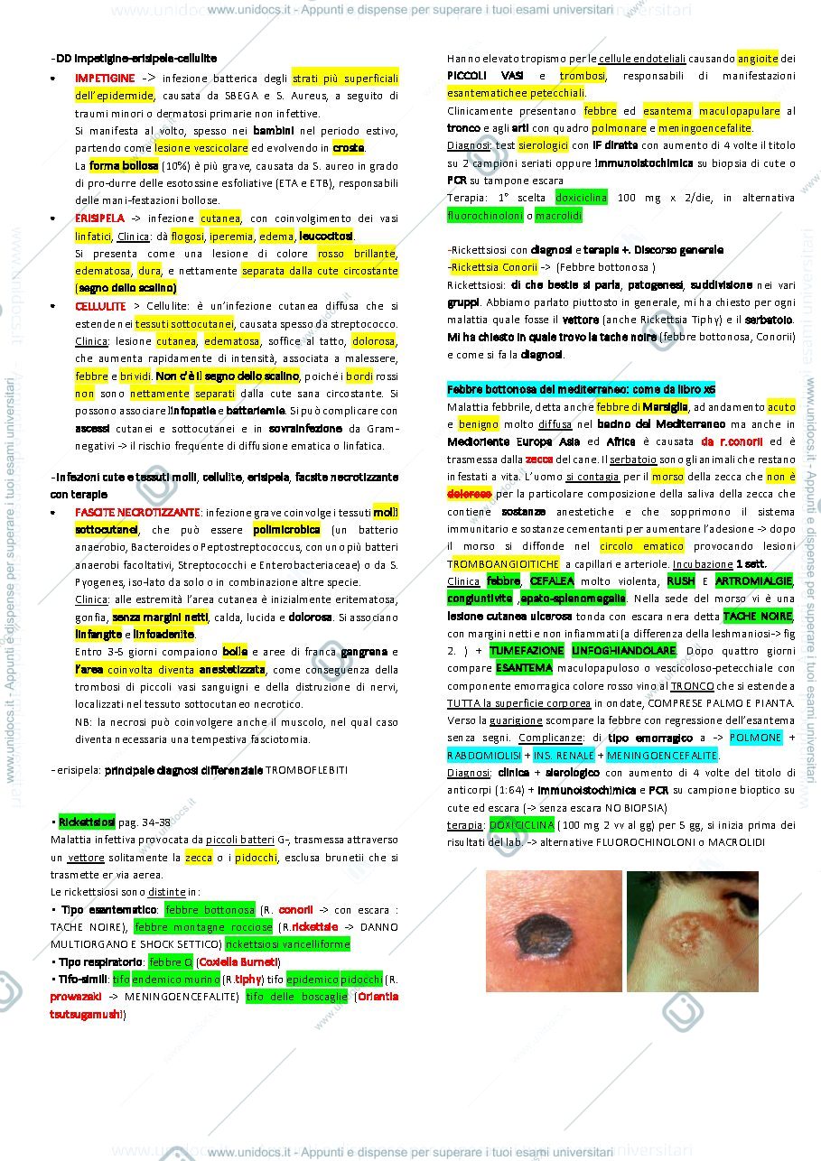 Anteprima pagina 4 — infettive