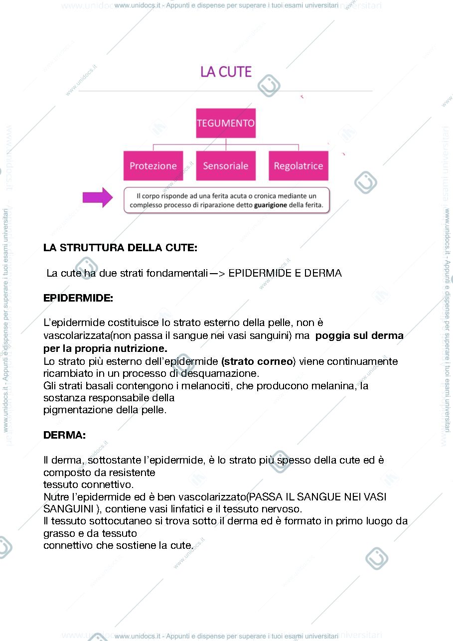 Anteprima pagina 1 — La cute