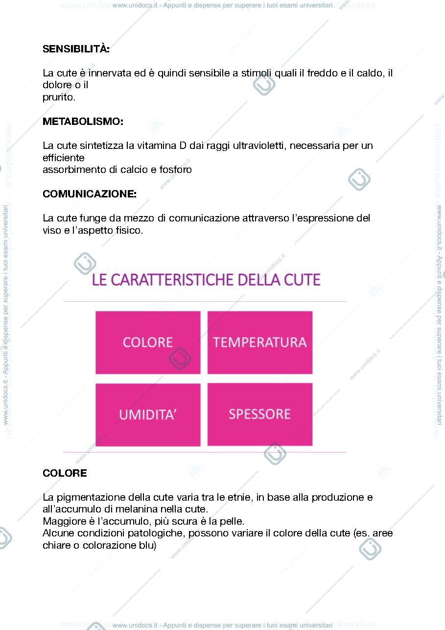 Anteprima pagina 3 — La cute