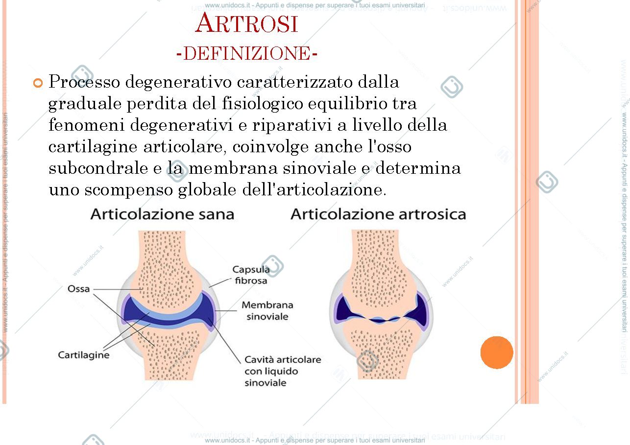 Anteprima pagina 2 — Artrosi 