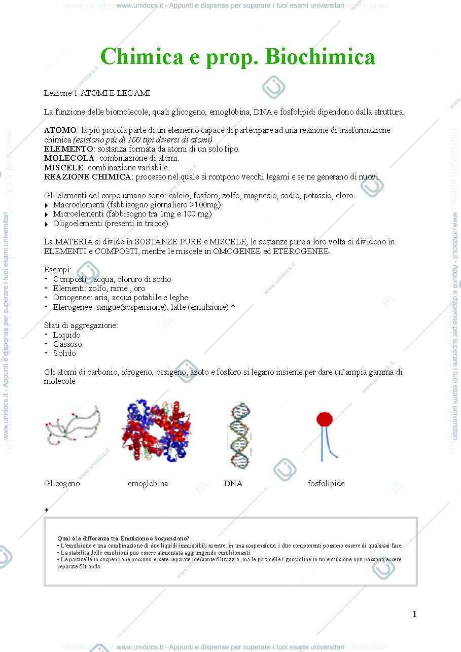 Anteprima pagina 1 — chimica e prop. biochimica