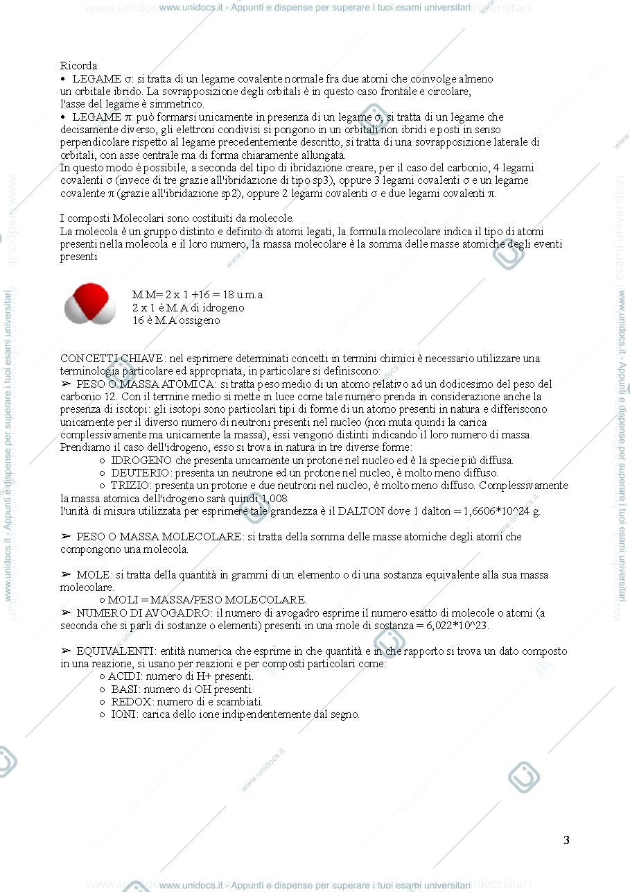Anteprima pagina 3 — chimica e prop. biochimica