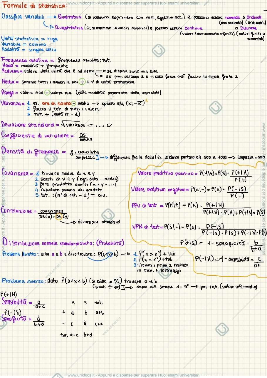 Anteprima pagina 1 — Formulario di statistica 