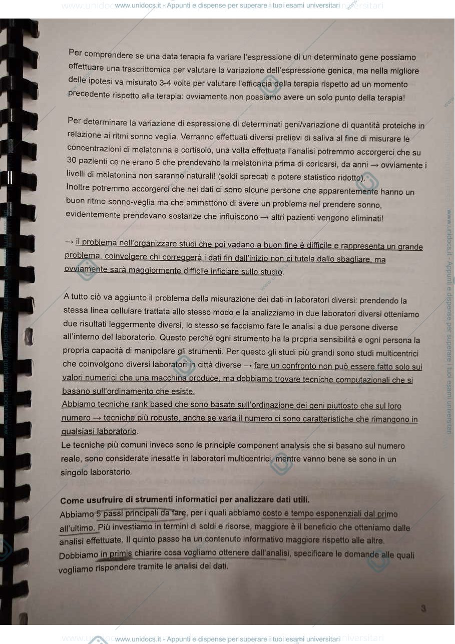 Anteprima pagina 3 — Informatica LZ