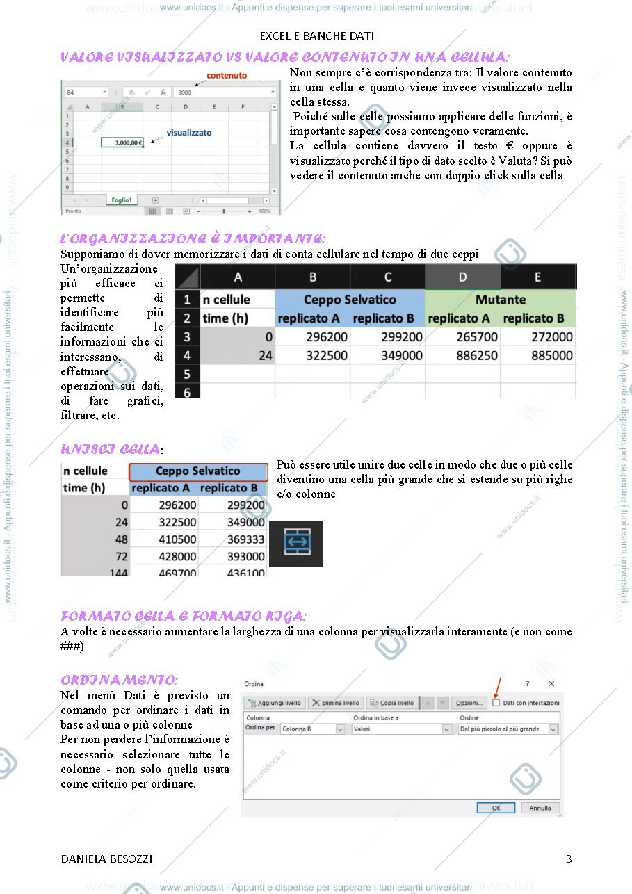 Anteprima pagina 3 — Corso di Excel e banche dati  