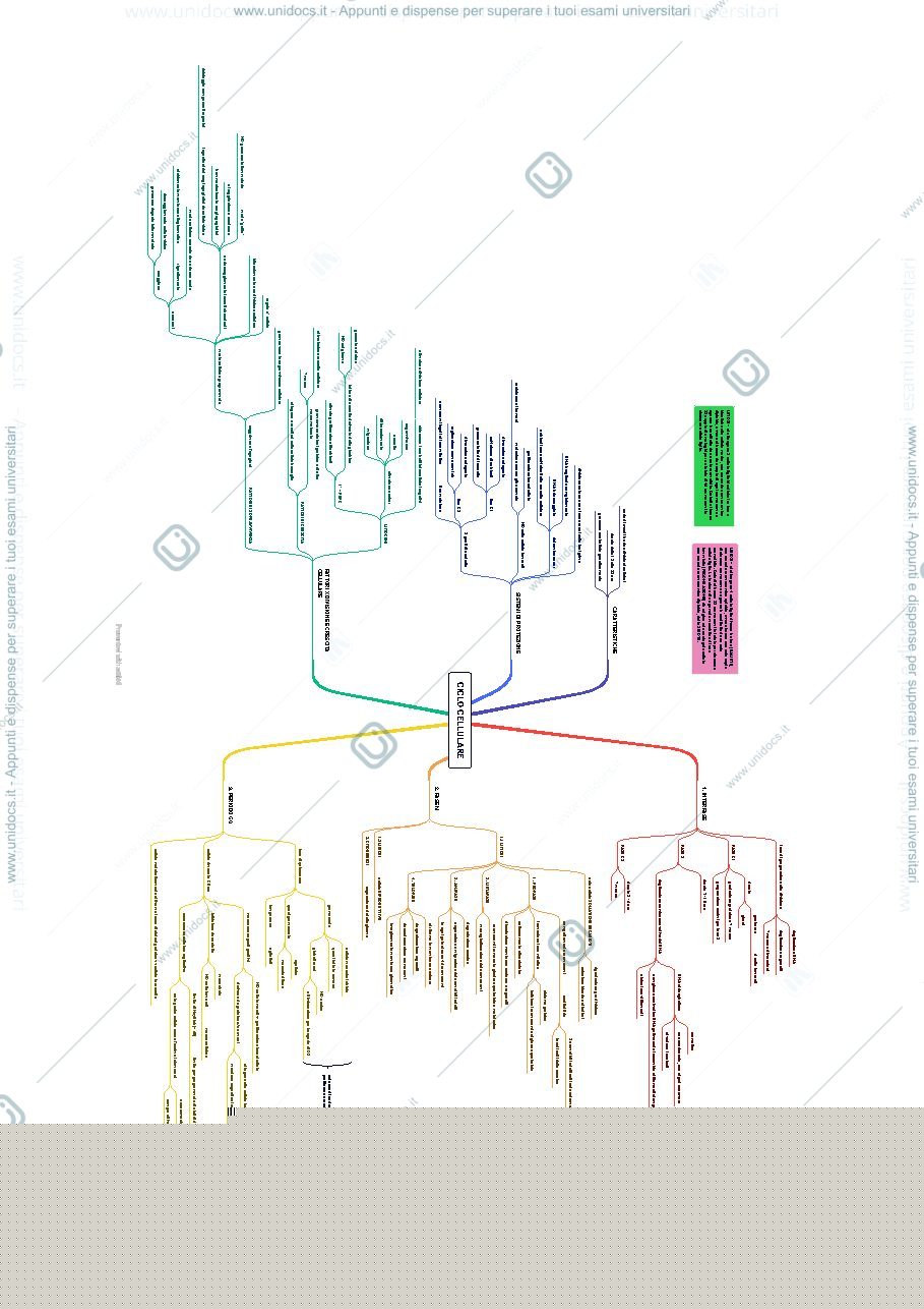 Anteprima pagina 1 — Ciclo cellulare
