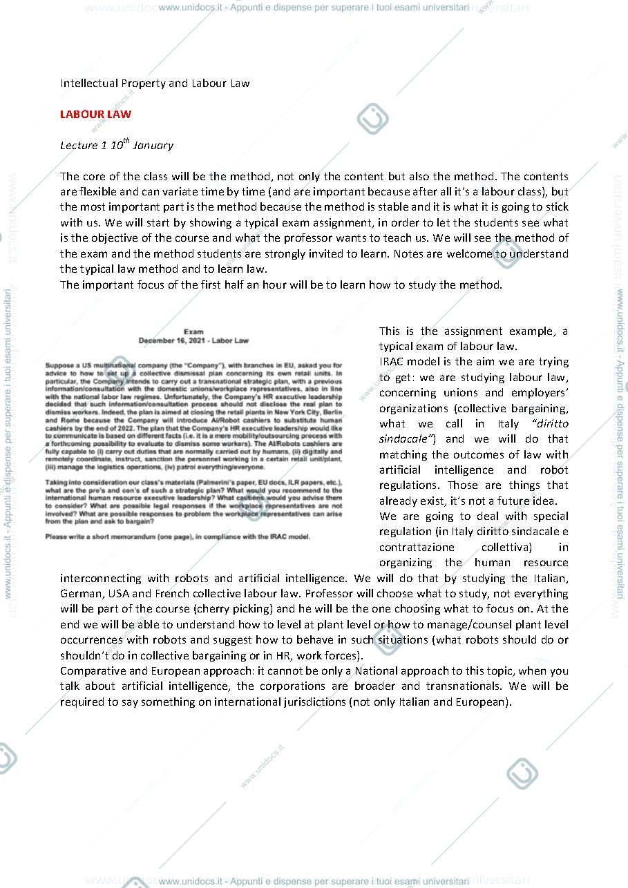 Anteprima pagina 1 — Appunti Labour Law (1 Module)