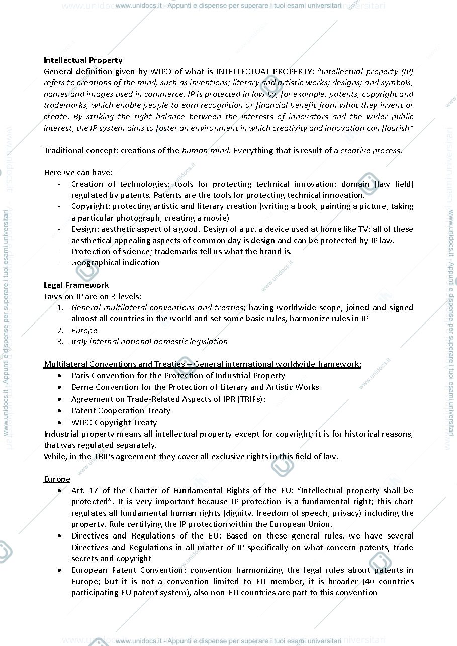 Anteprima pagina 1 — Appunti Intellectual Property