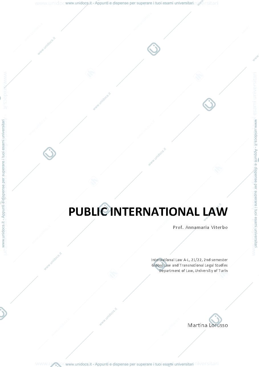 Anteprima pagina 1 — Sbobine International Law - Notes & transcription