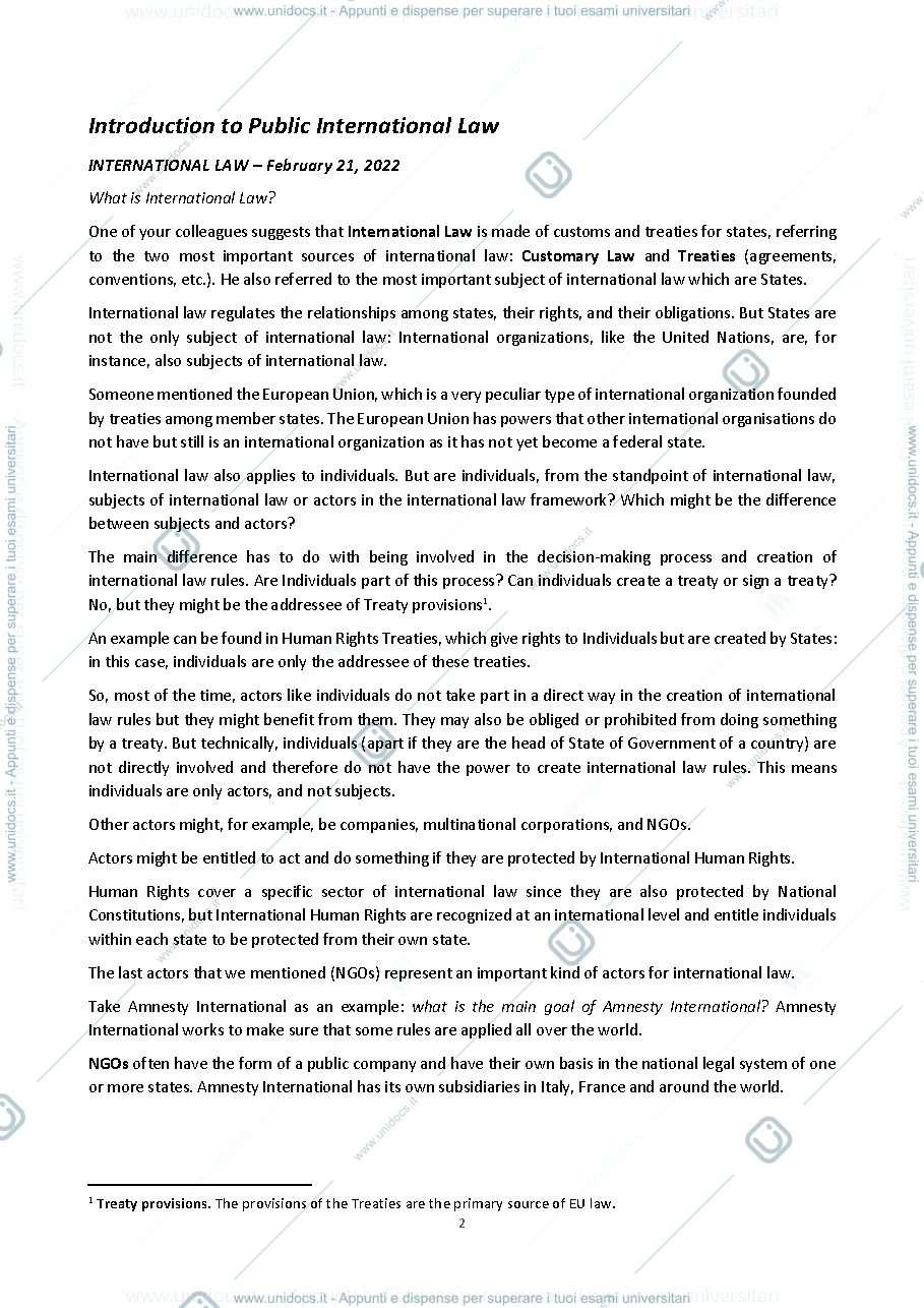 Anteprima pagina 3 — Sbobine International Law - Notes & transcription