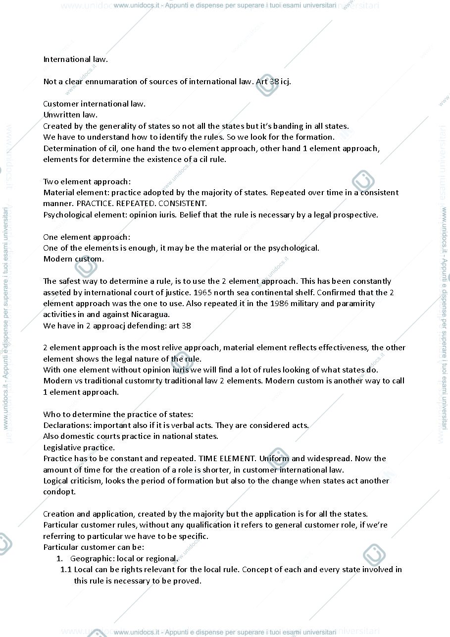 Anteprima pagina 1 — appunti international law