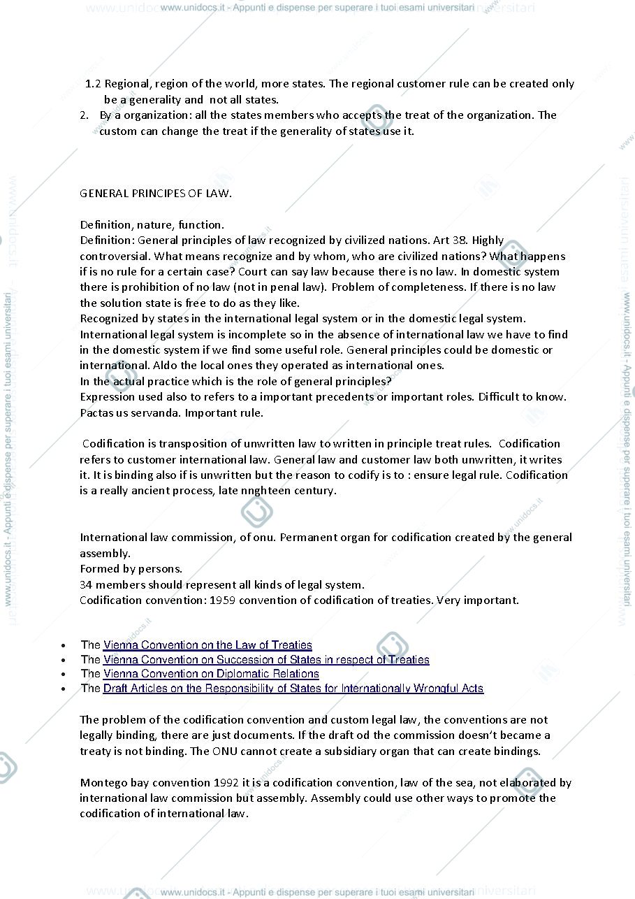 Anteprima pagina 2 — appunti international law
