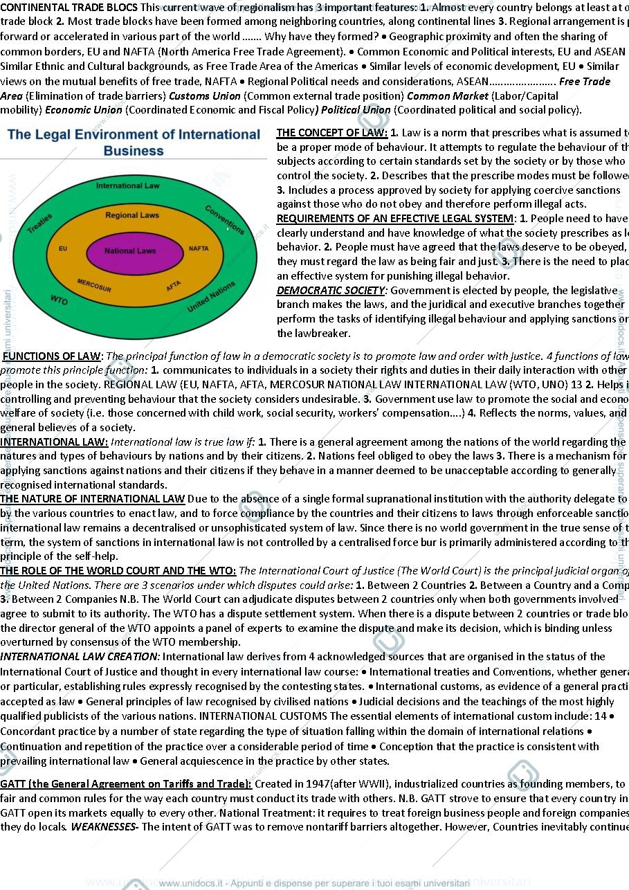Anteprima pagina 2 — International Management 