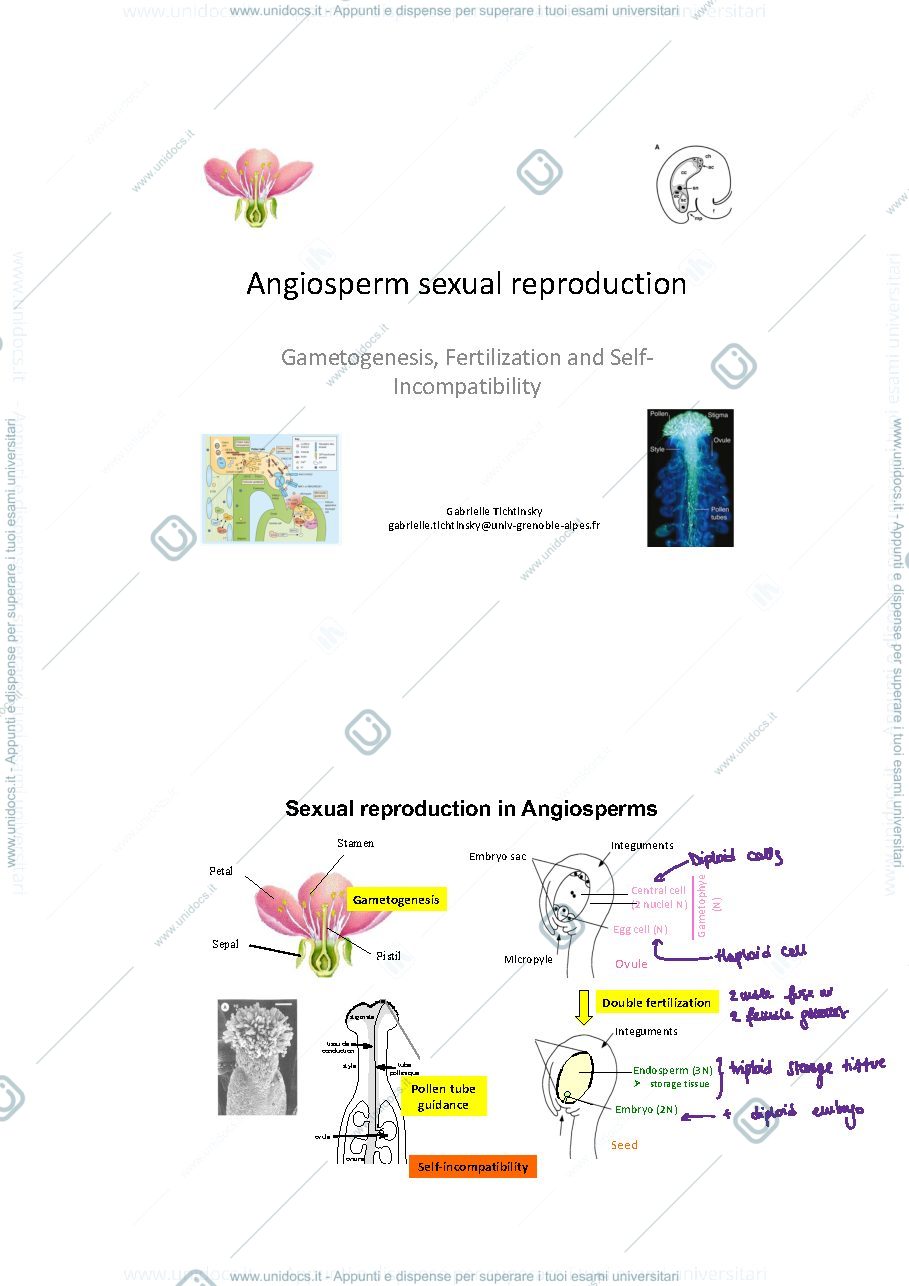Anteprima pagina 1 — Notes 3&4