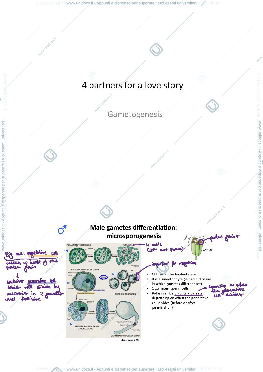 Anteprima pagina 2 — Notes 3&4