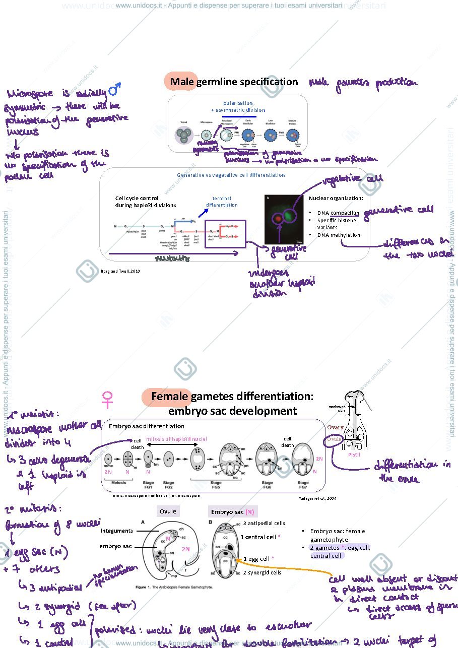 Anteprima pagina 3 — Notes 3&4