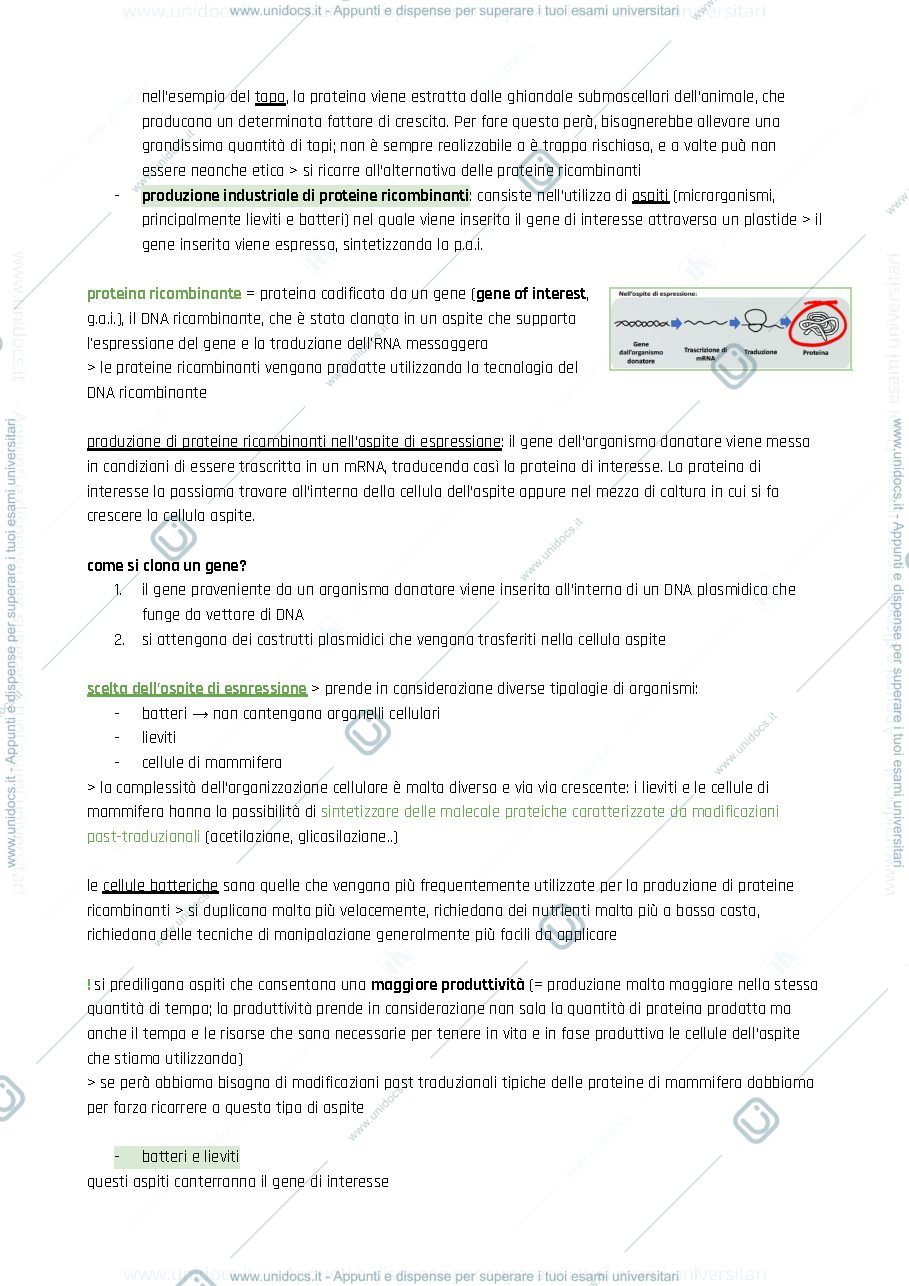 Anteprima pagina 3 — Introduzione alle tecniche di laboratorio