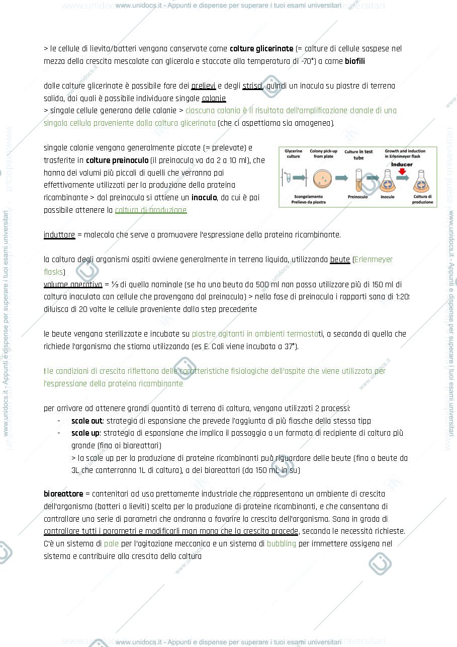 Anteprima pagina 4 — Introduzione alle tecniche di laboratorio
