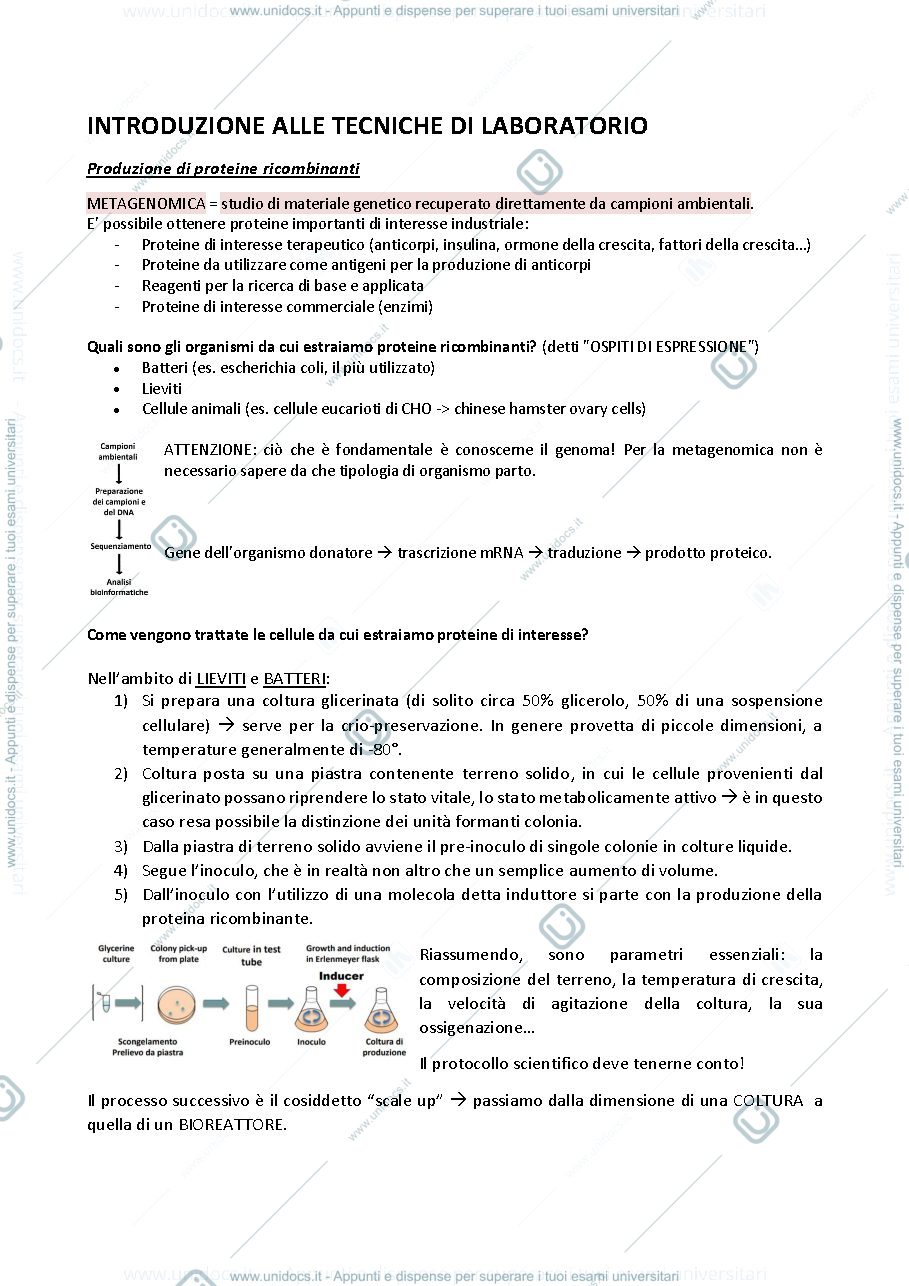 Anteprima pagina 1 — introduzione alle tecniche di laboratorio
