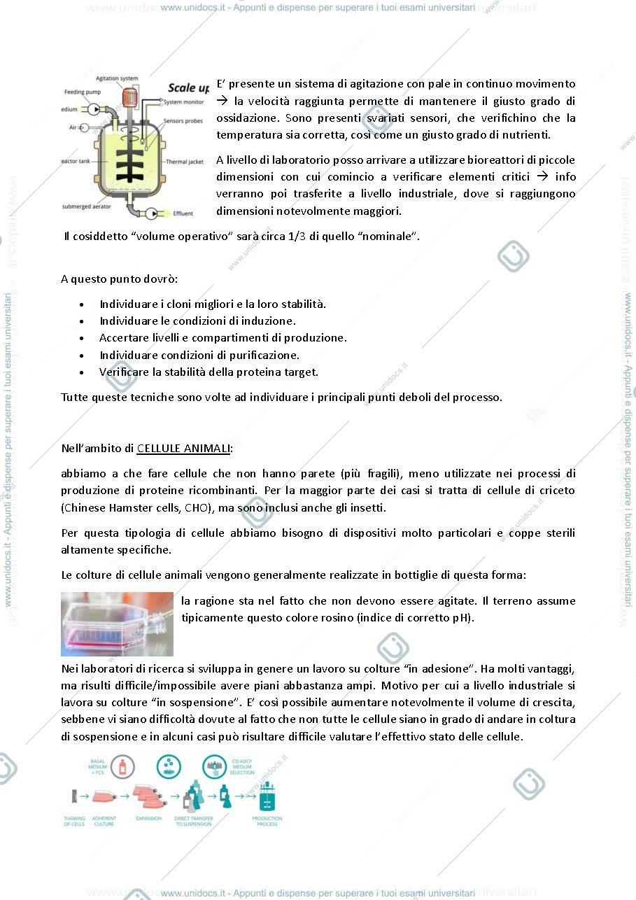 Anteprima pagina 2 — introduzione alle tecniche di laboratorio