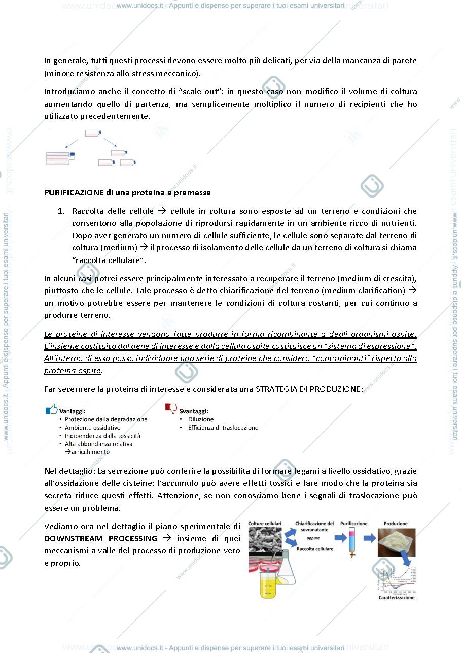 Anteprima pagina 3 — introduzione alle tecniche di laboratorio