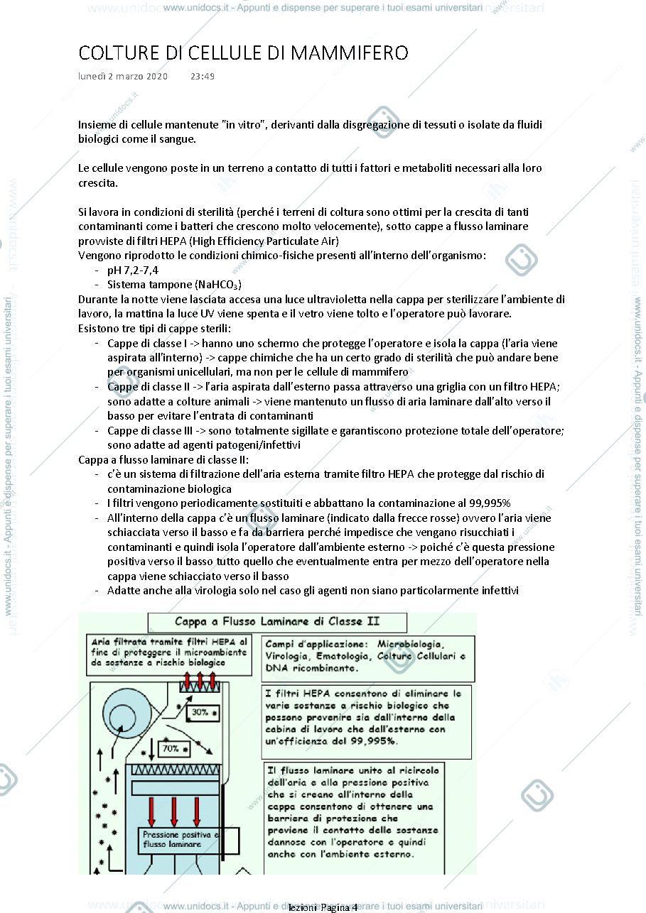Anteprima pagina 4 — introduzione alle tecniche di laboratorio