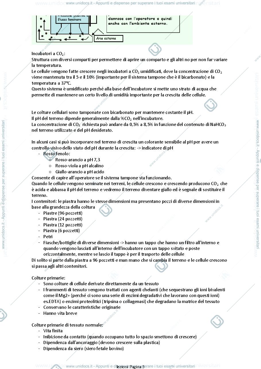 Anteprima pagina 5 — introduzione alle tecniche di laboratorio