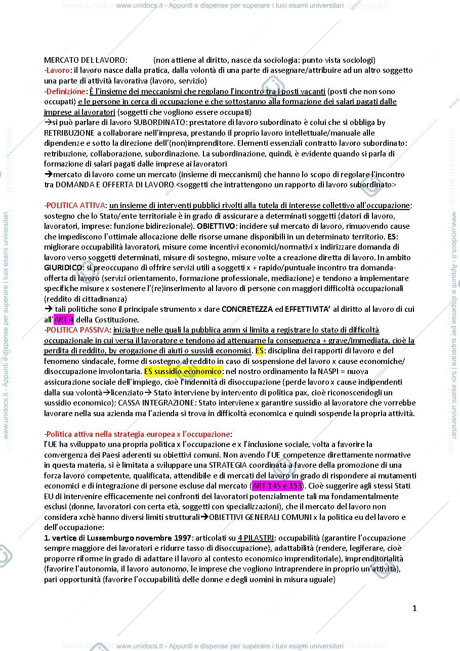 Anteprima pagina 1 — Diritto del lavoro, prof Squeglia