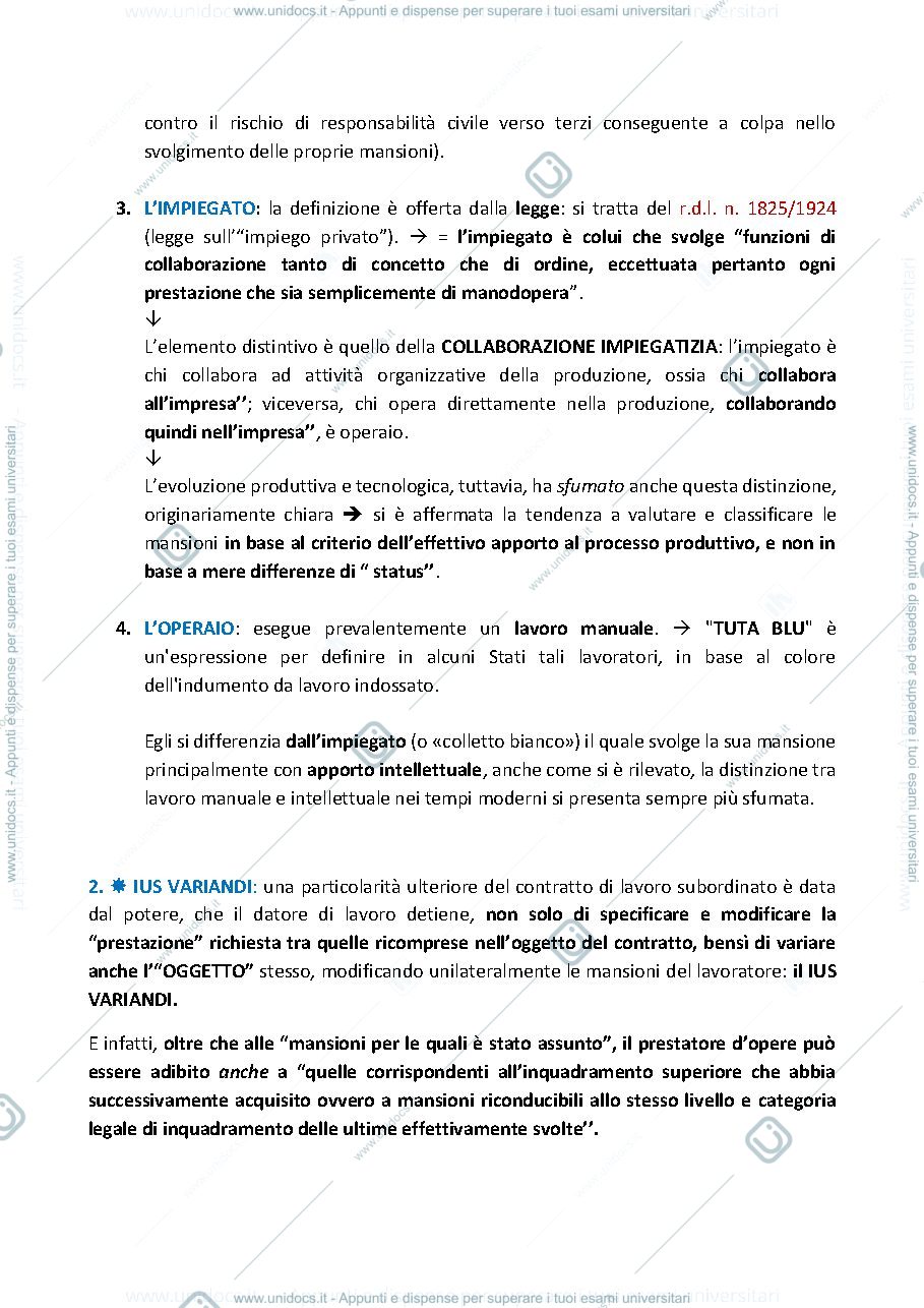 Anteprima pagina 3 — Diritto del lavoro, prof Squeglia