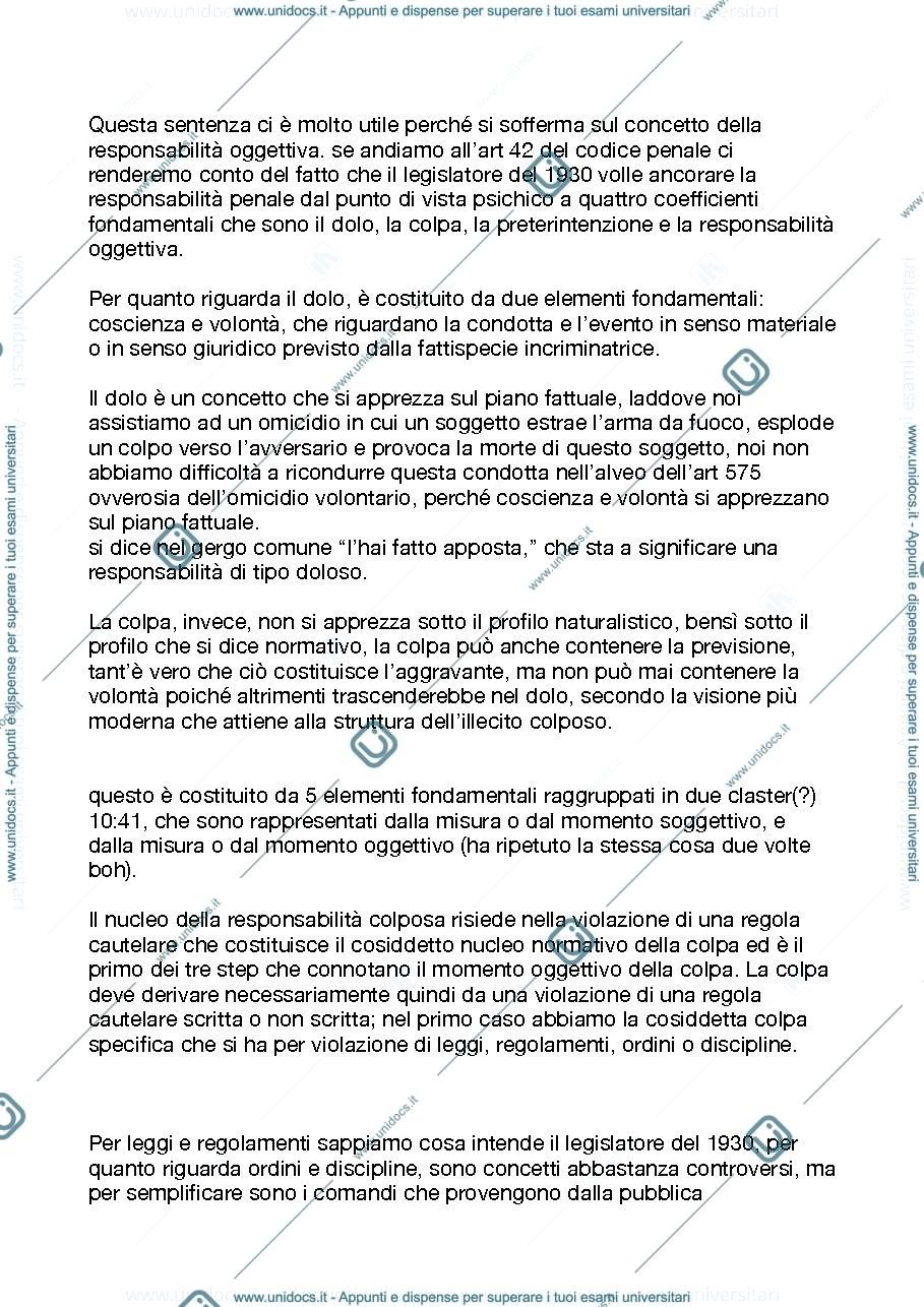 Anteprima pagina 2 — Lezione sul principio di colpevolezza