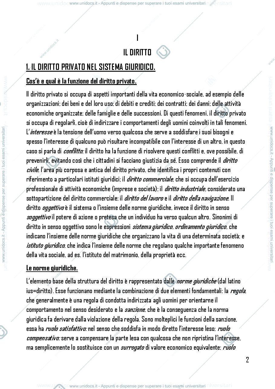 Anteprima pagina 2 — Riassunto Roppo
