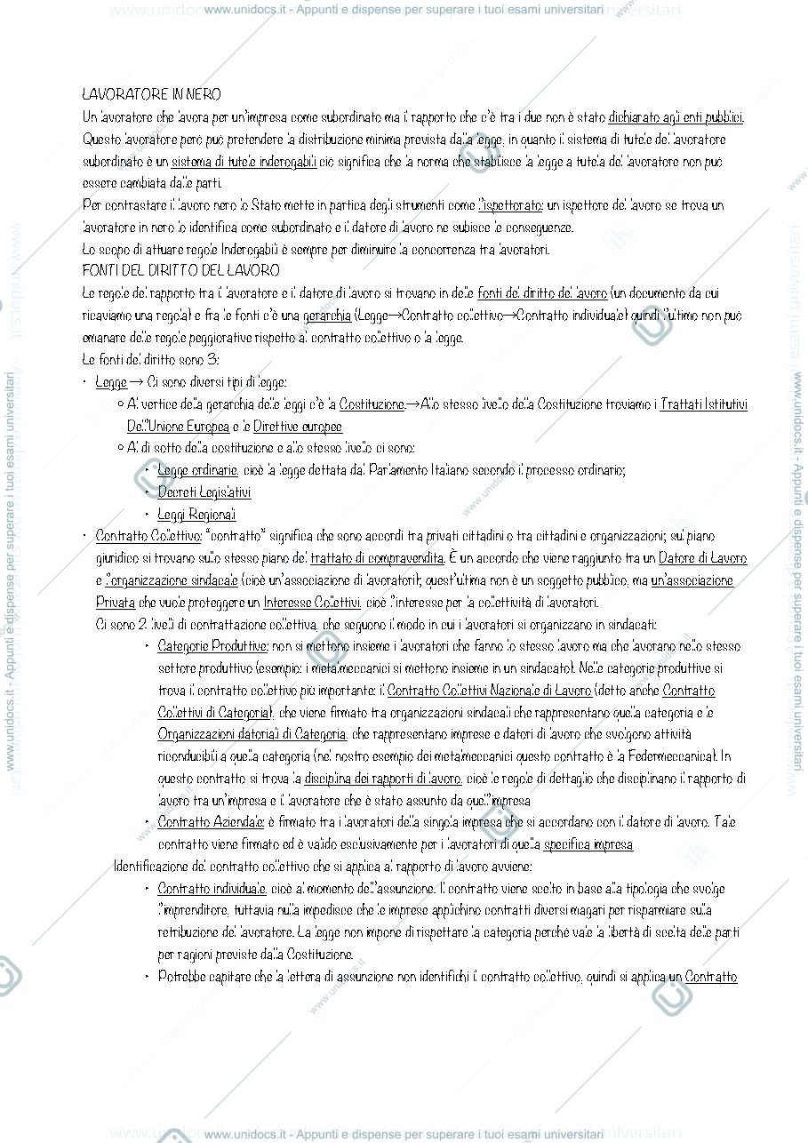 Anteprima pagina 2 — Appunti di diritto del lavoro 