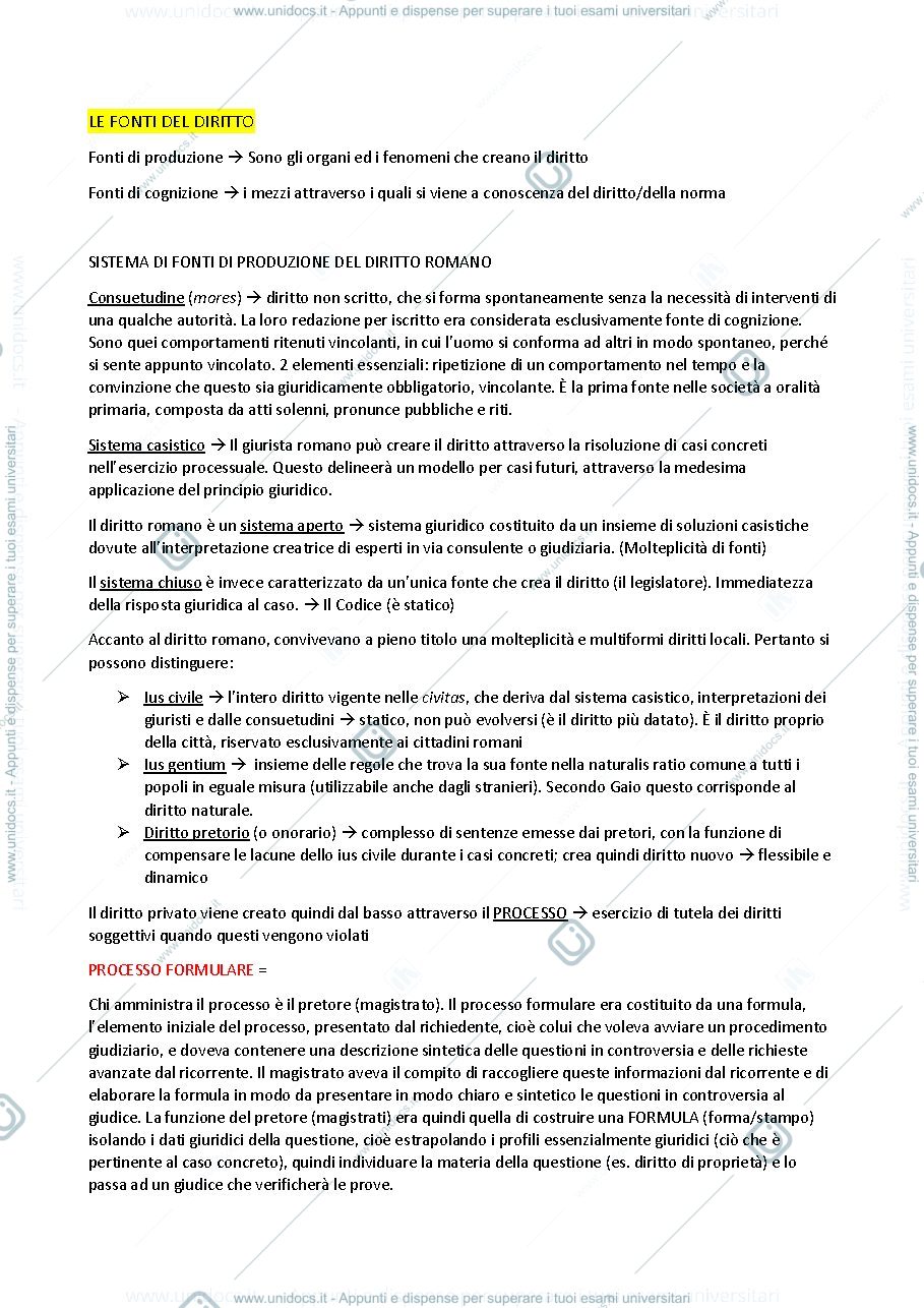 Anteprima pagina 3 — concetti giuridici di base