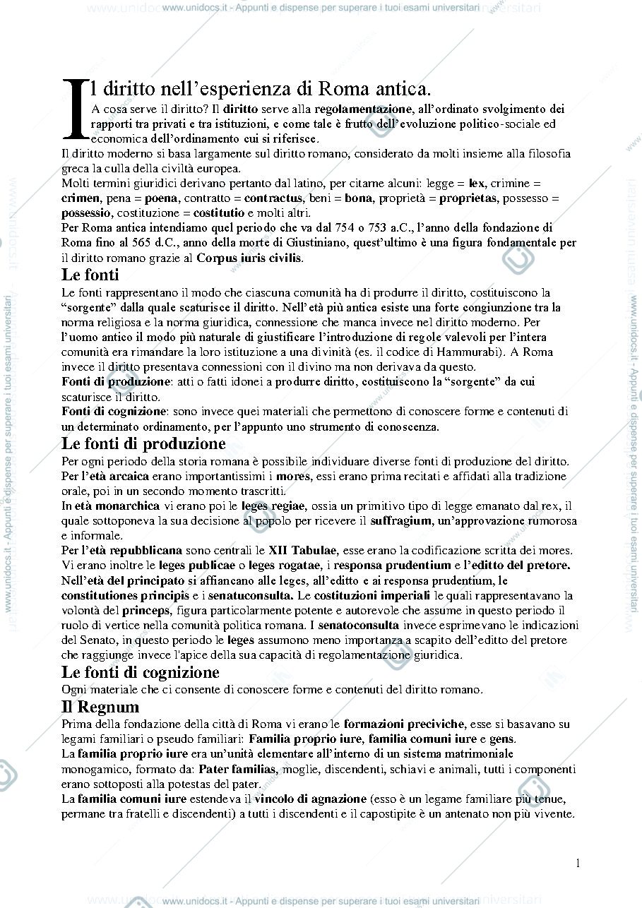Anteprima pagina 1 — Riassunto 