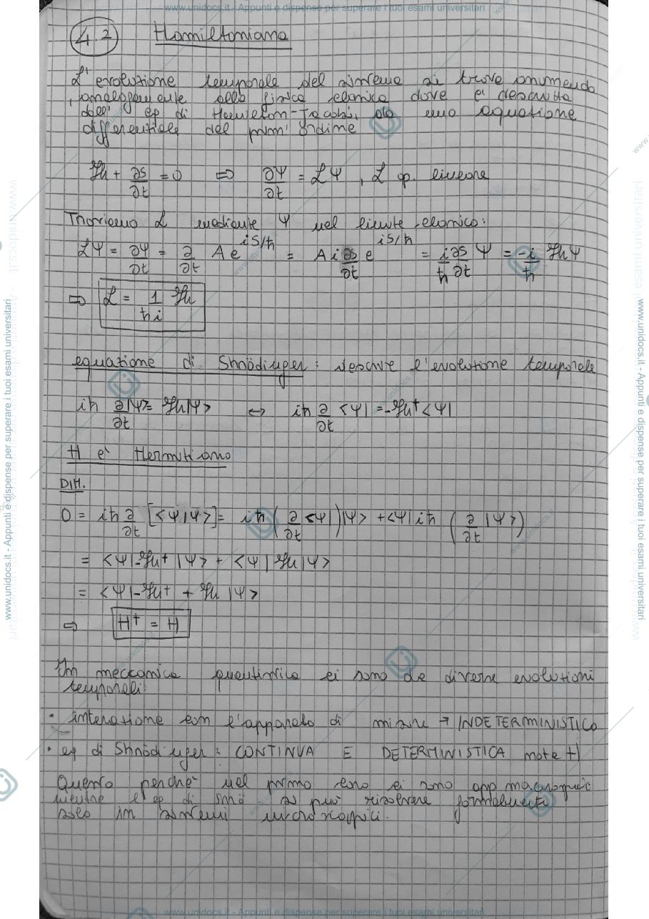Anteprima pagina 1 — Programma di esame 