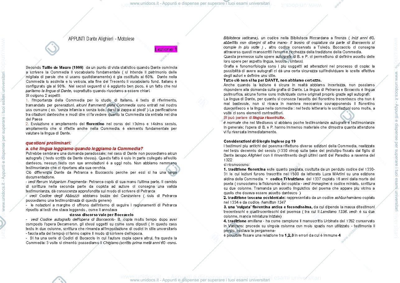 Anteprima pagina 1 — Istituzioni di Storia di Lingua Italiana- modulo su Dante