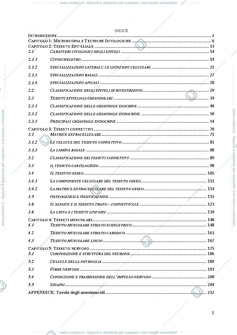Anteprima pagina 2 — Quaderno di istologia