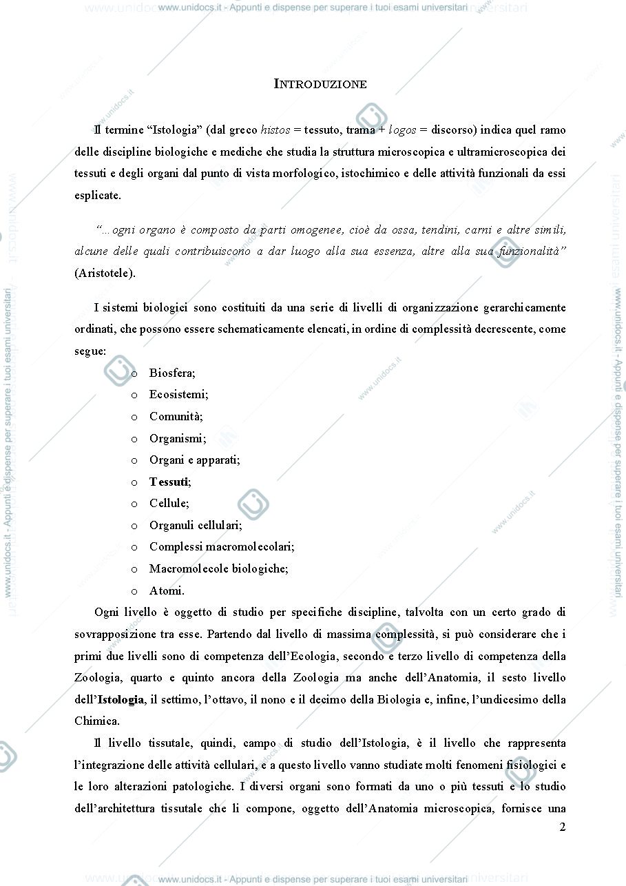 Anteprima pagina 3 — Quaderno di istologia