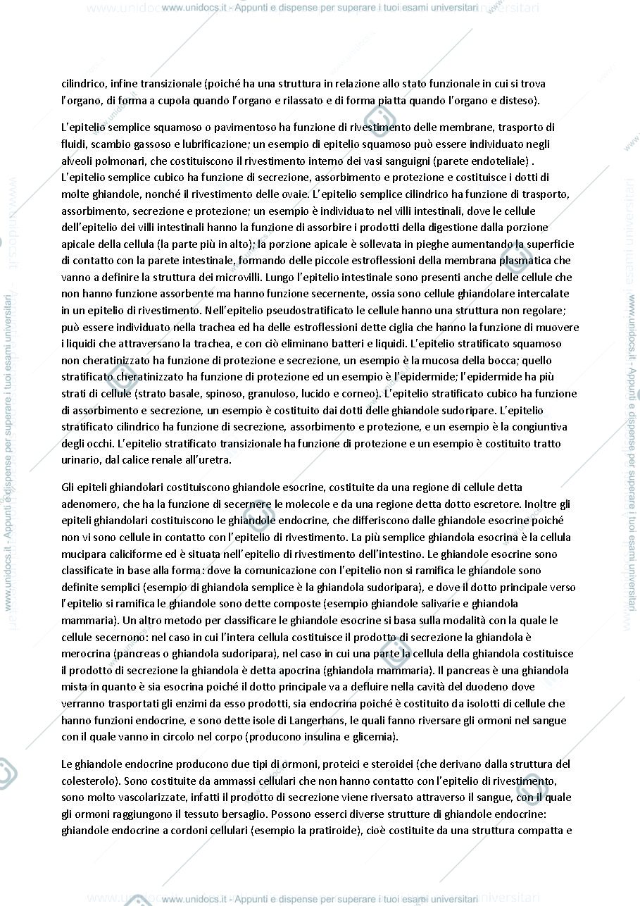 Anteprima pagina 2 — Istologia
