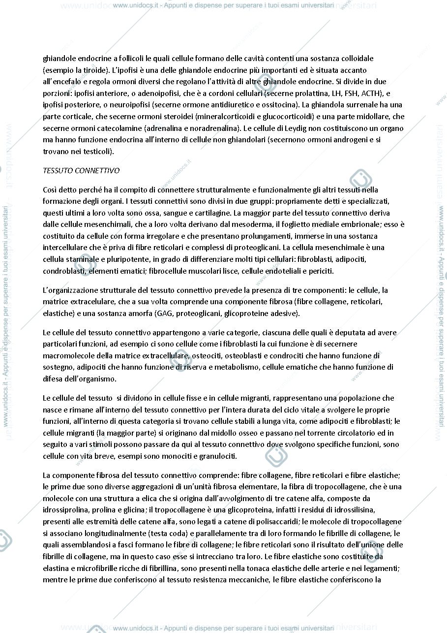 Anteprima pagina 3 — Istologia