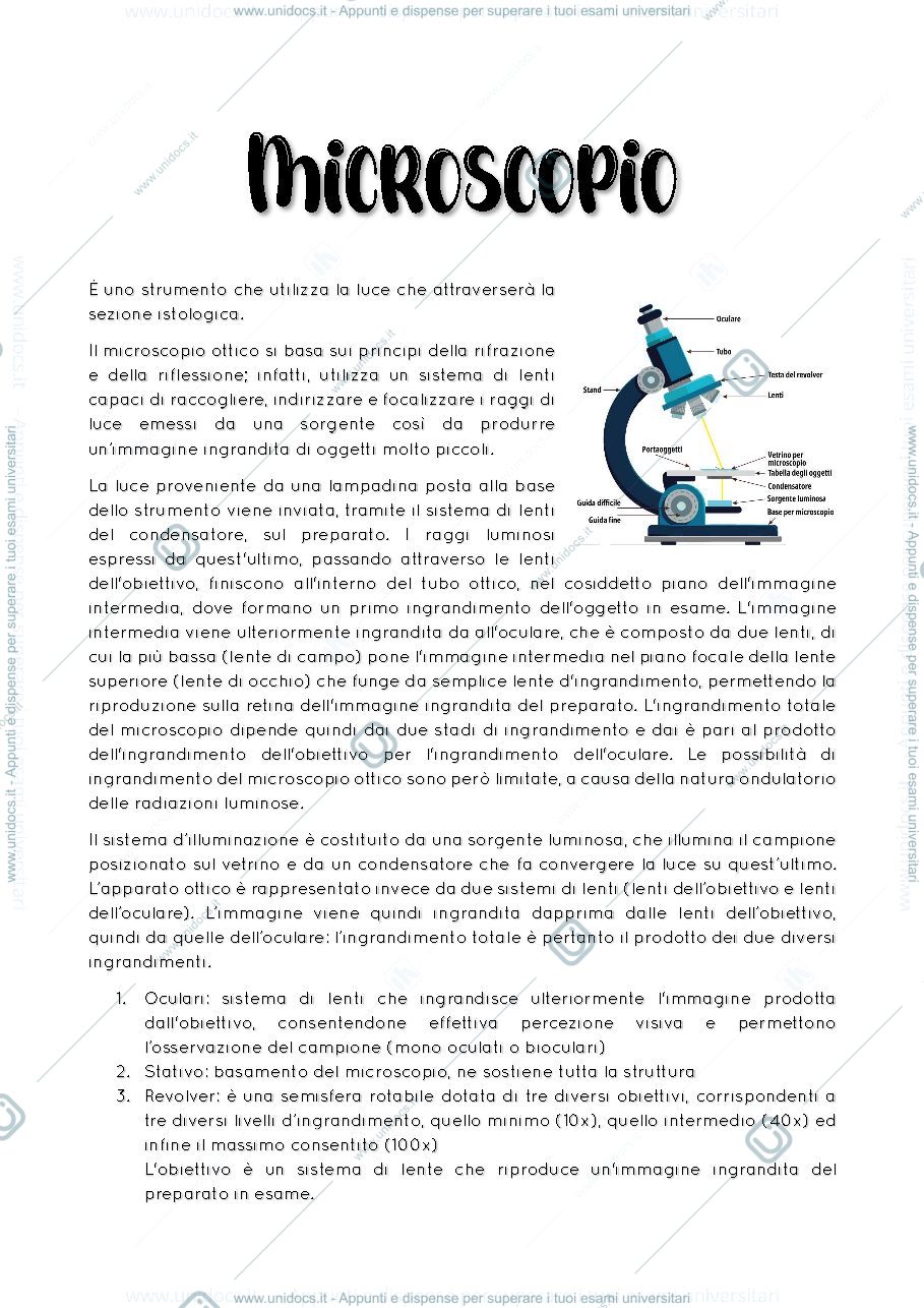 Anteprima pagina 1 — Appunti di istologia e analisi microscopica dei tessuti