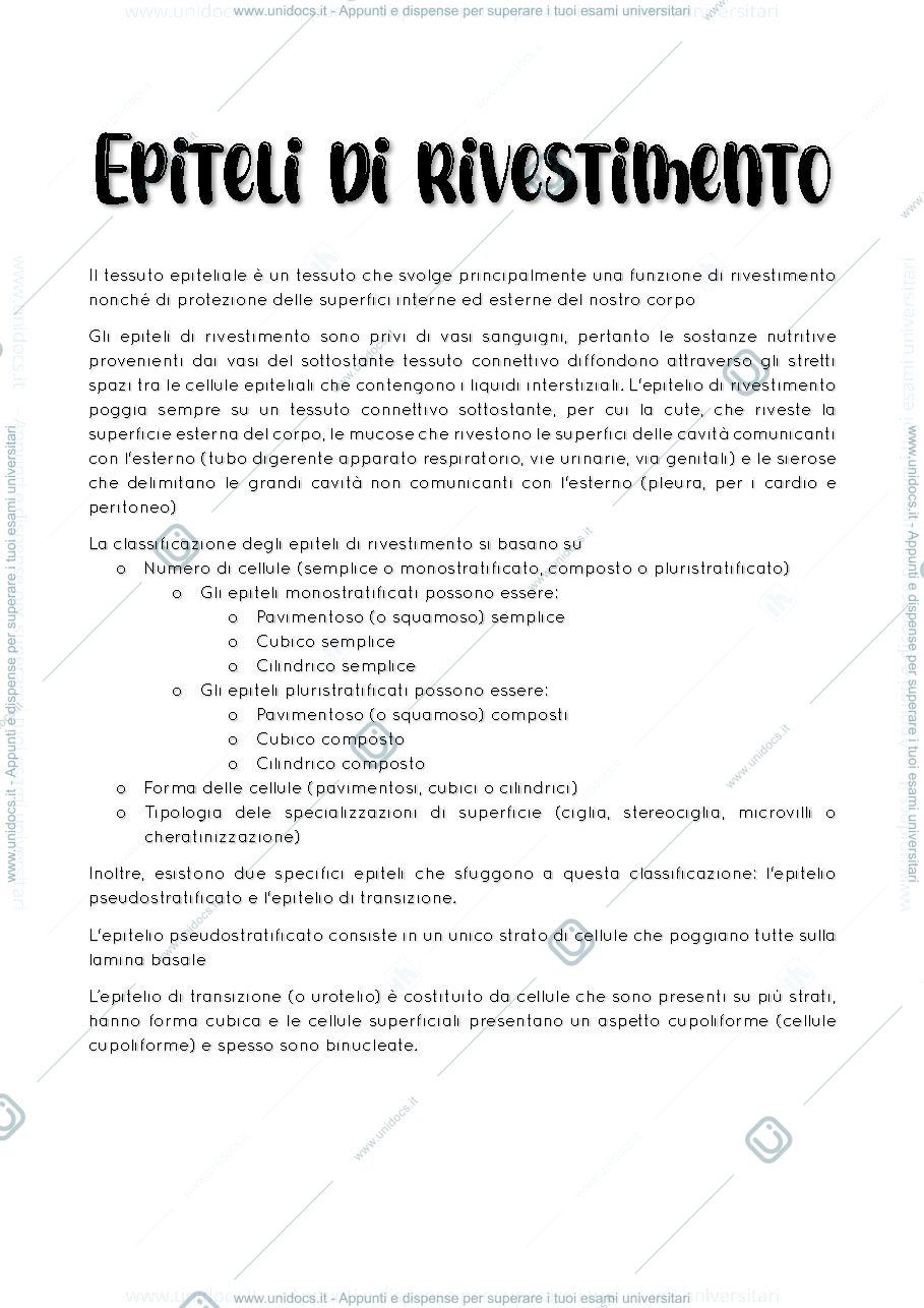 Anteprima pagina 3 — Appunti di istologia e analisi microscopica dei tessuti