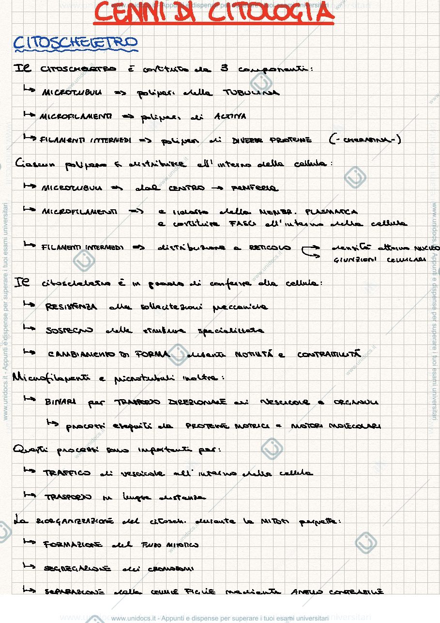 Anteprima pagina 1 — Cenni di citologia