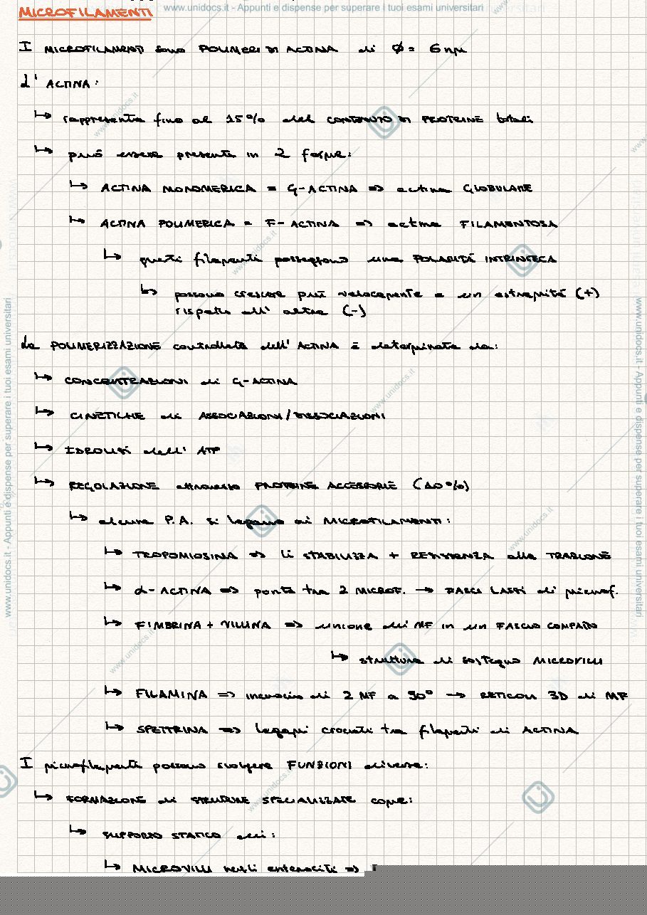 Anteprima pagina 2 — Cenni di citologia