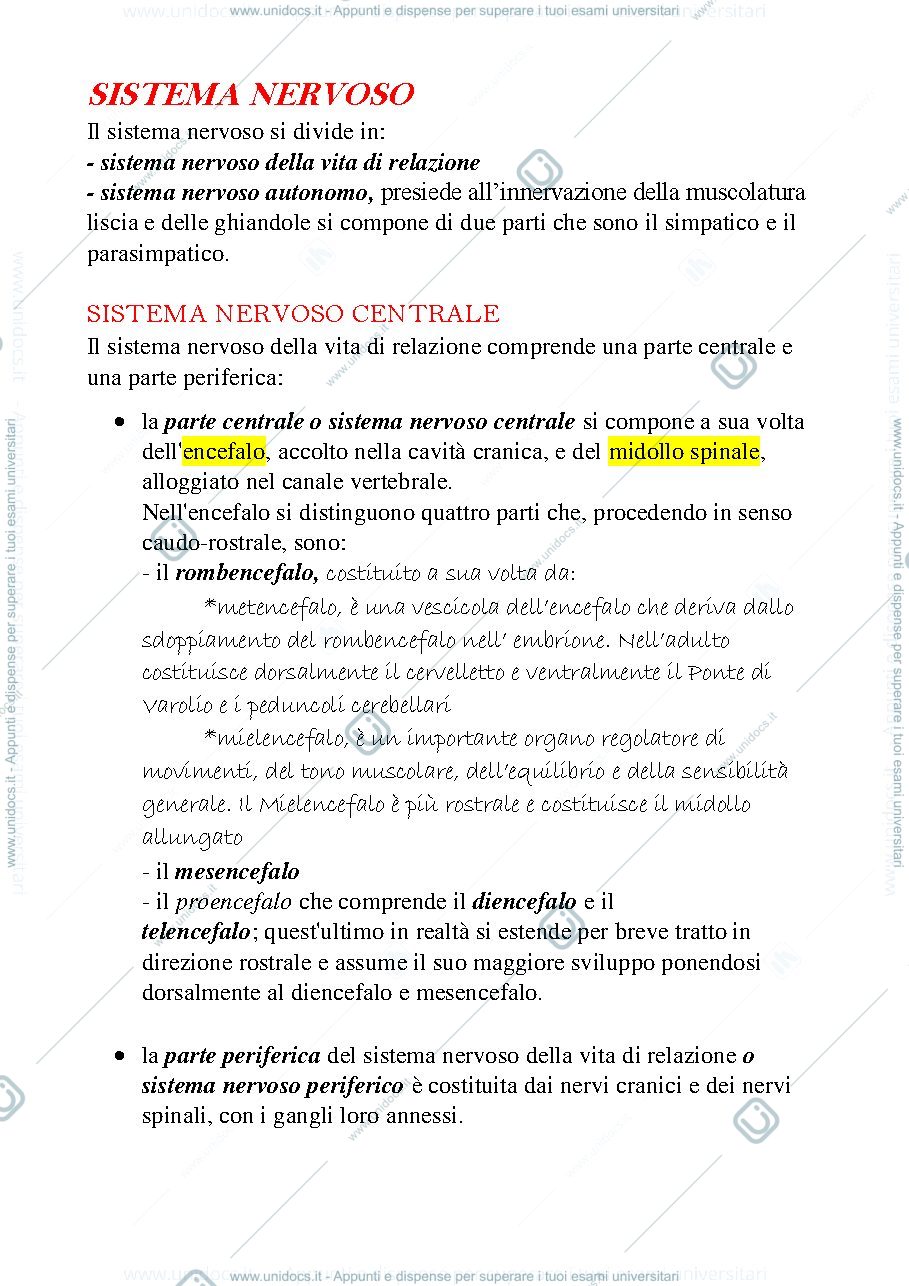 Anteprima pagina 1 — sistema nervoso