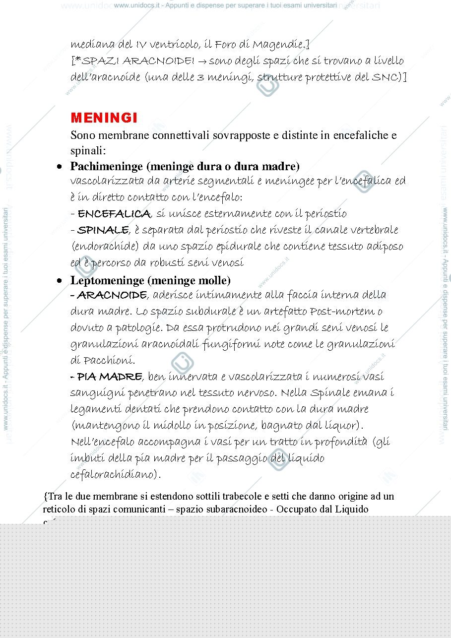 Anteprima pagina 3 — sistema nervoso