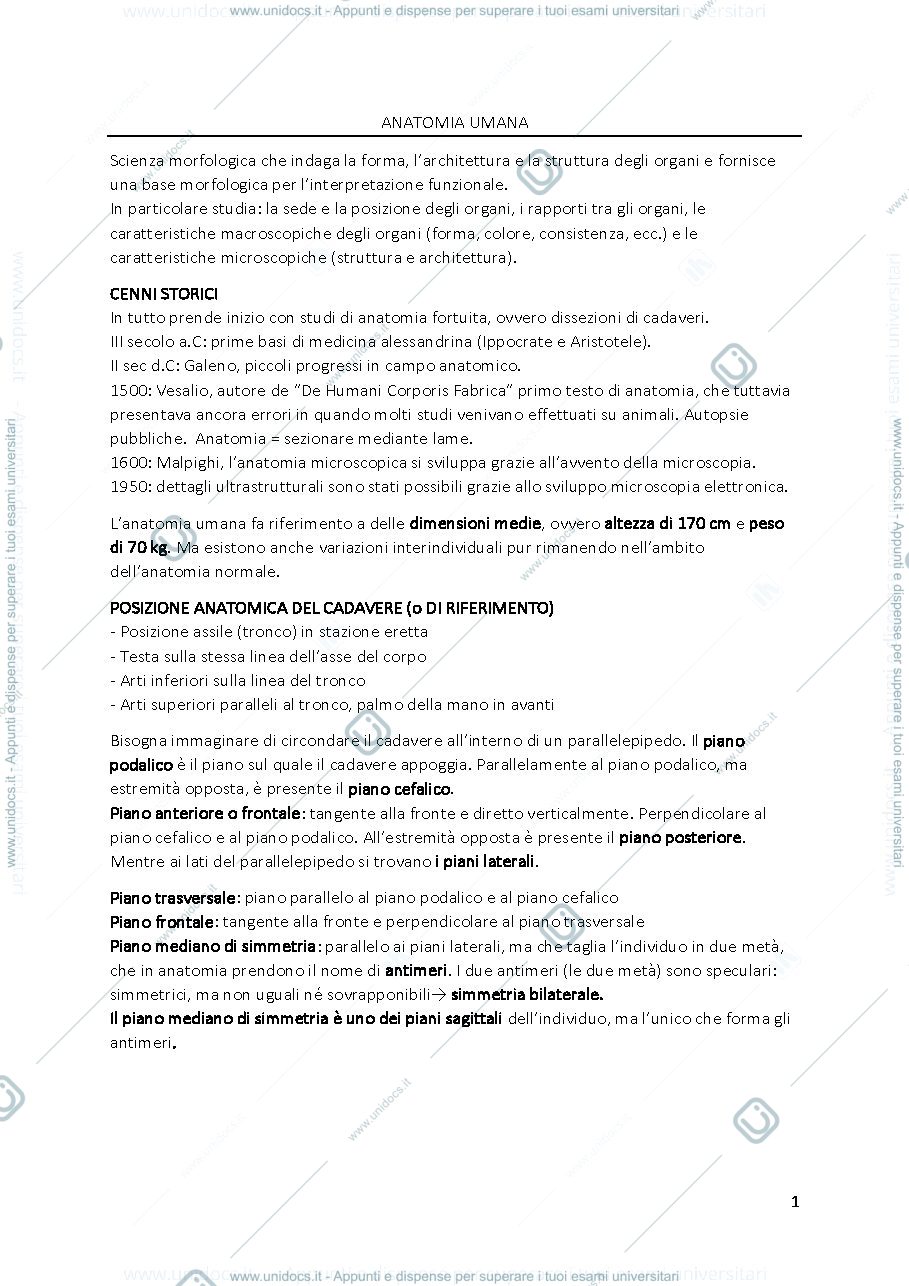 Anteprima pagina 1 — ANATOMIA COMPLETO