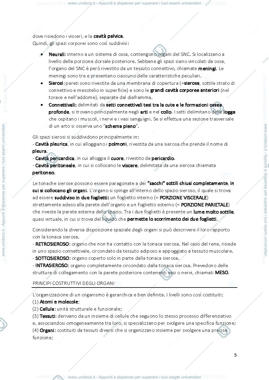 Anteprima pagina 5 — ANATOMIA COMPLETO